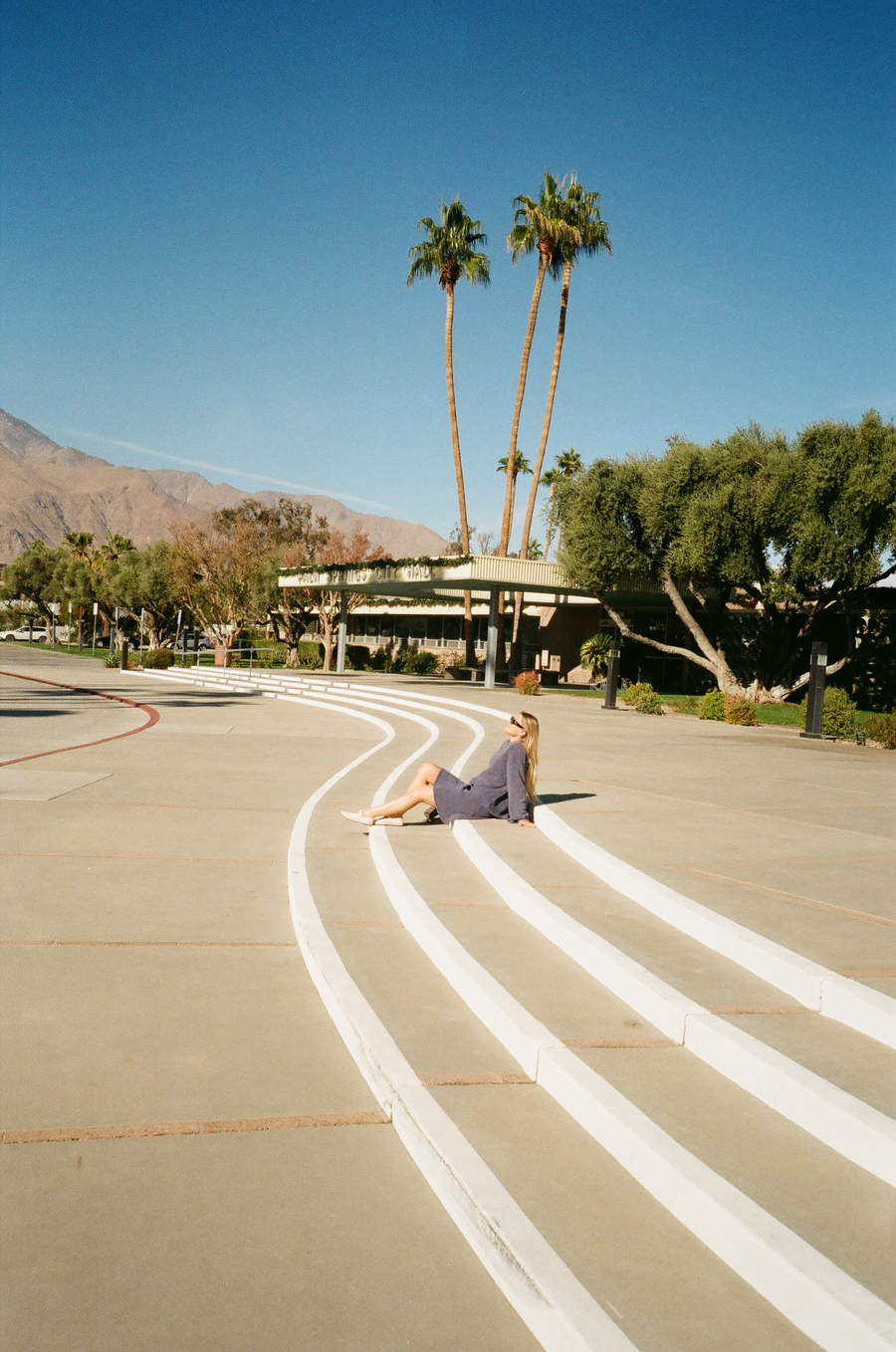 person seated in sand beside palms and a beach fence