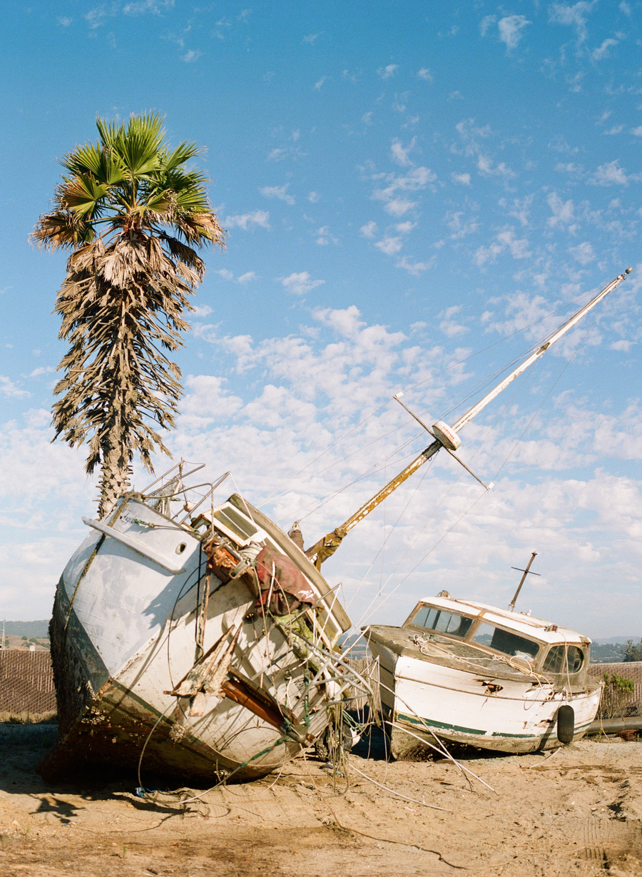 beached sailboat beside a palm under blue sky