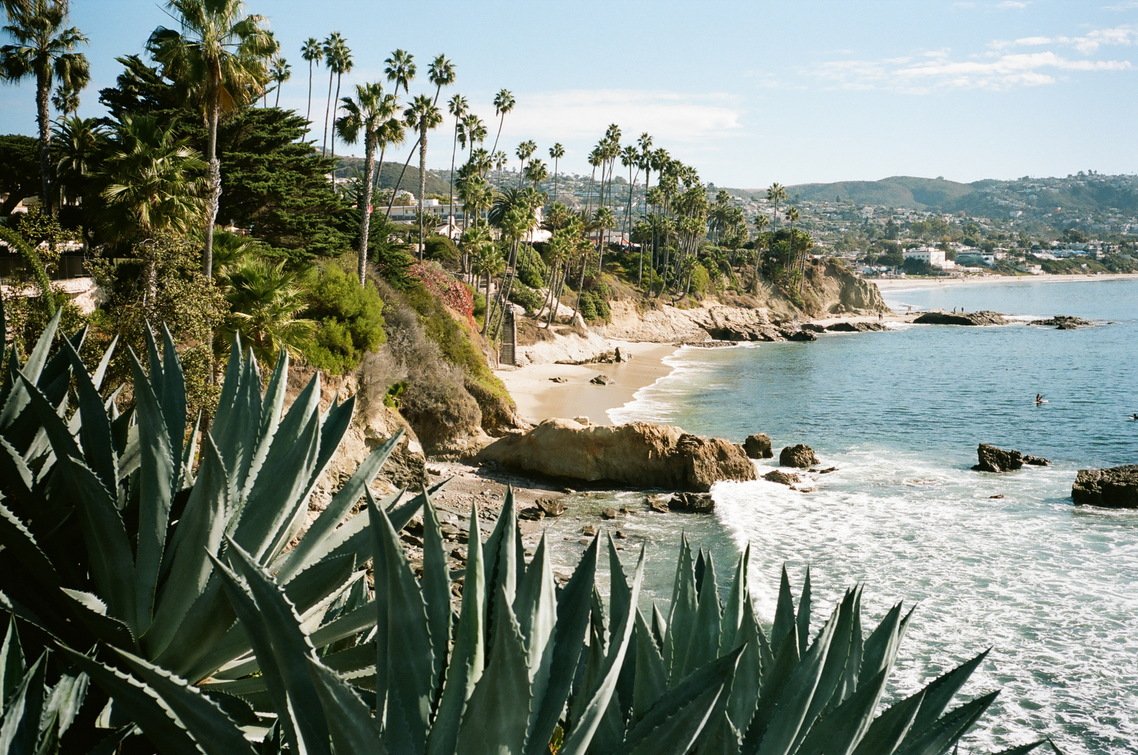 coastal overlook with palms and blue water