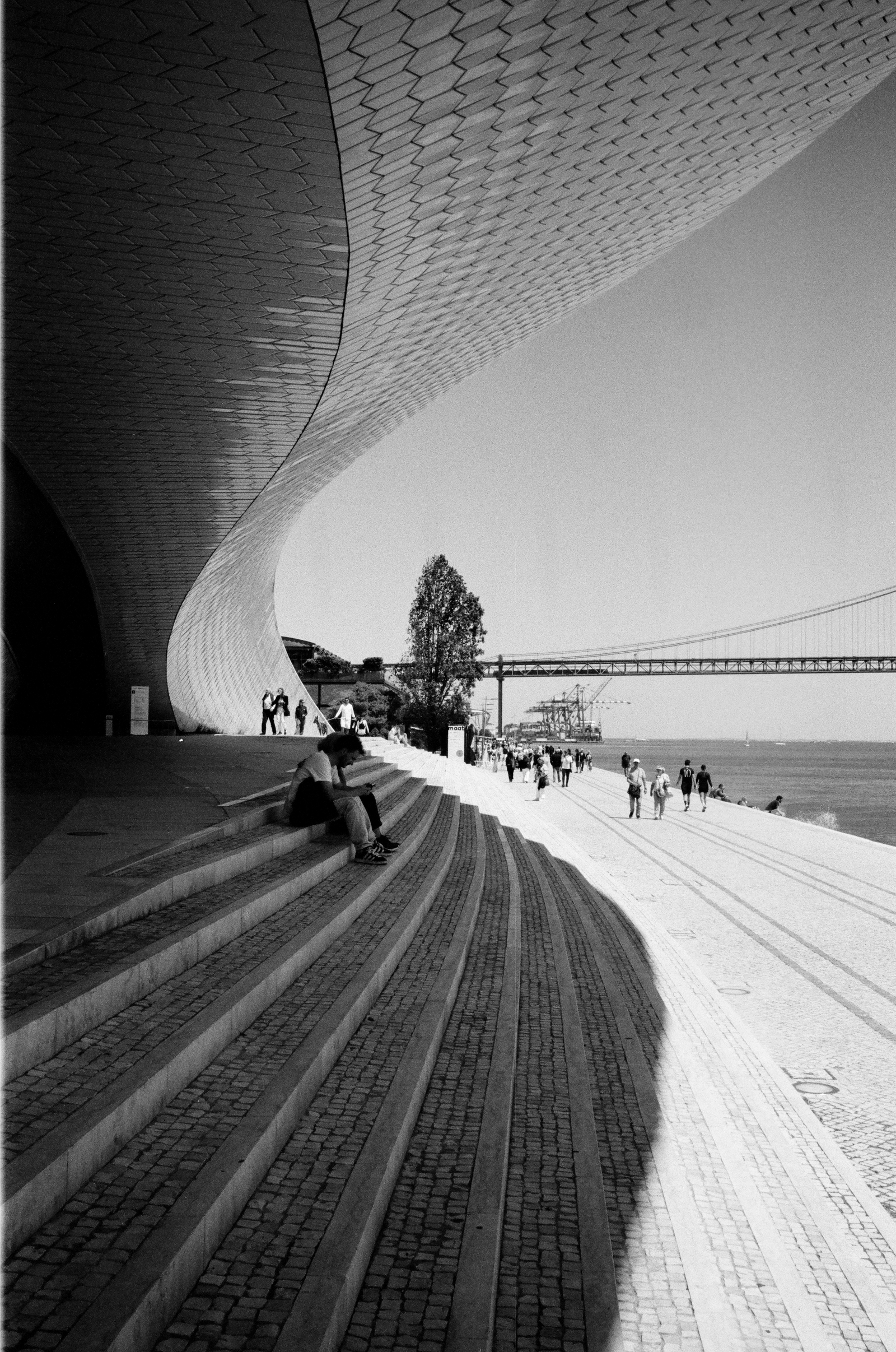 person walking along sweeping museum steps in black and white