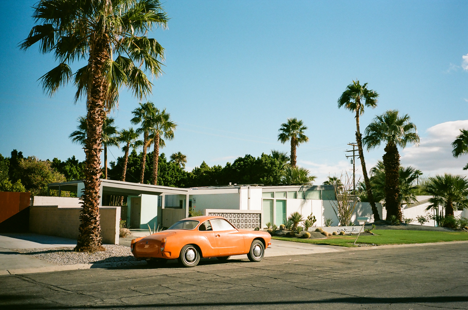 orange car parked beneath palms in palm springs