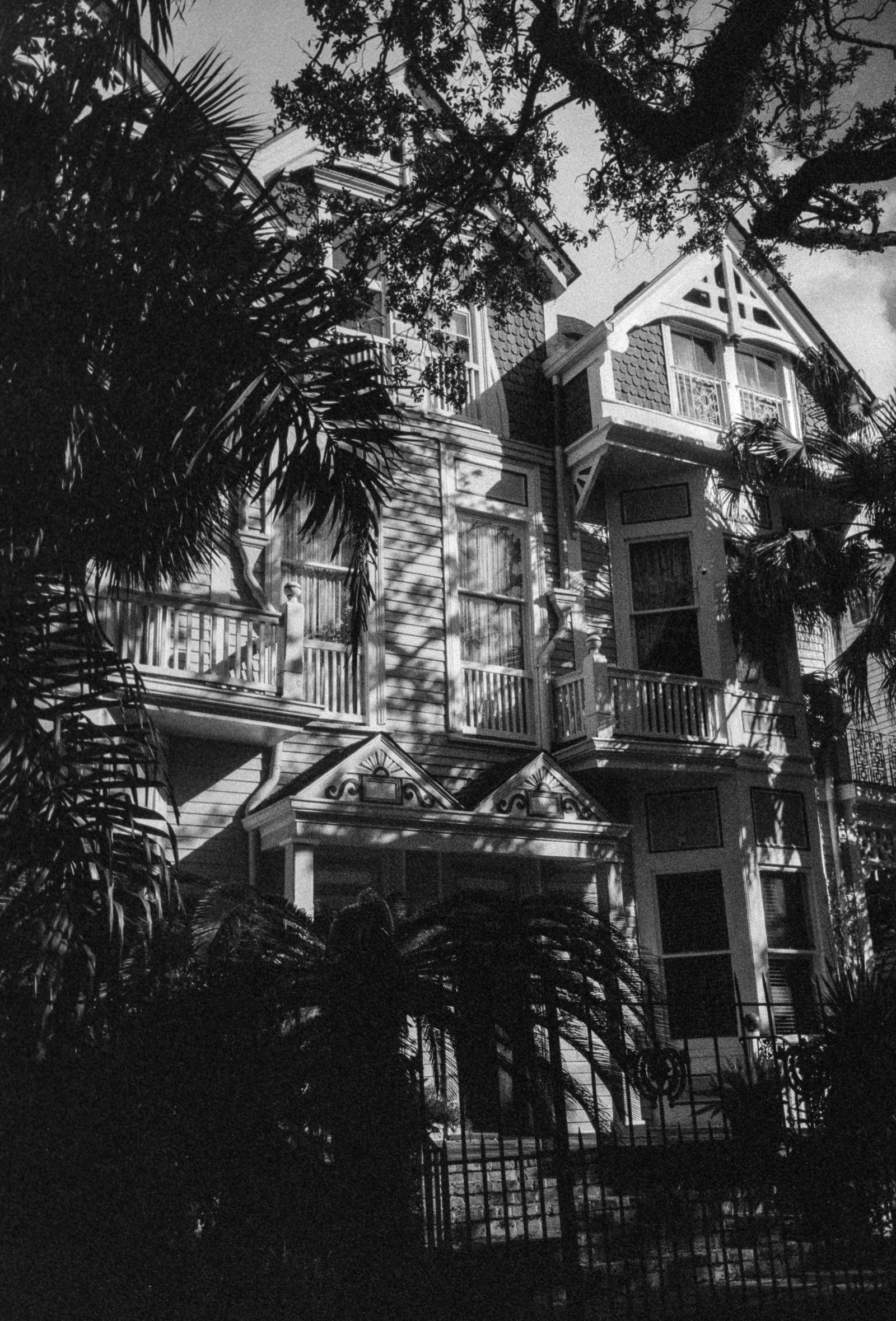 black and white house seen through deep palm shadows